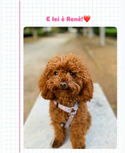 Charger l'image dans la galerie, Workshop di ceramica