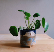 Carica l'immagine nel visualizzatore di Gallery, Box Argilla Bruno Kit